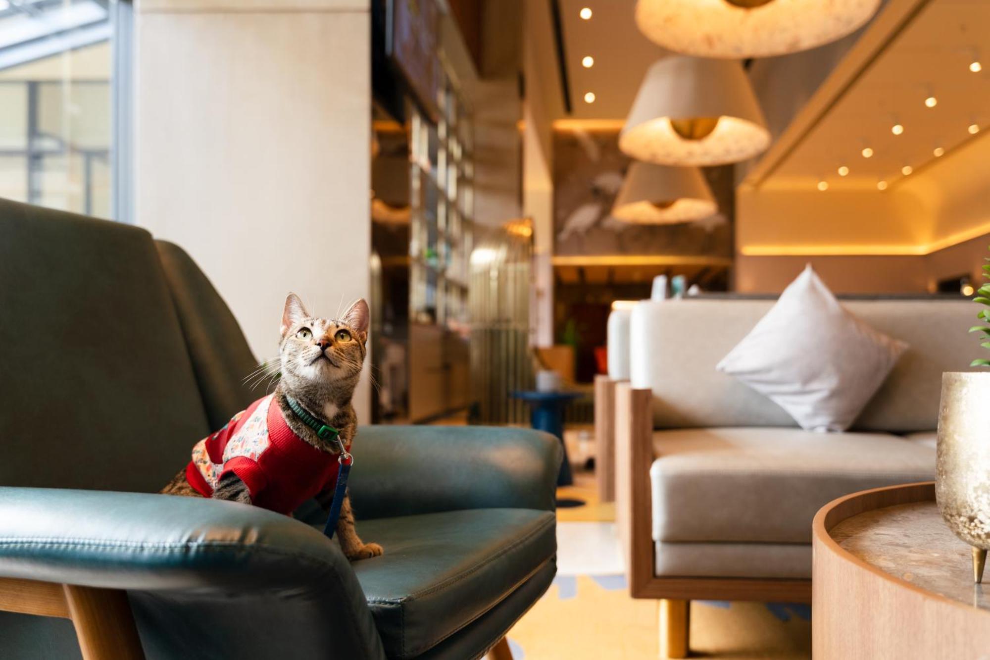 Ibis Styles Mysuru Mysore Exterior foto